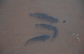 IMG_20241119_112349_671