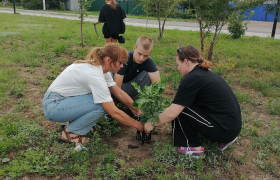 Resize of IMG_20250702_165917